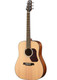 Walden D550E Natura Acoustic Guitar - Dreadnought - Solid Spruce Top Acoustic-Electric