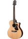 Walden G800CE Natura Acoustic Guitar - Grand Auditorium Cutaway-Electric - All-Solid