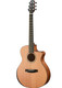 Walden G2070RCE SupraNatura Acoustic Guitar - Solid Mahogany with Rosewood Armrest Acoustic-Electric