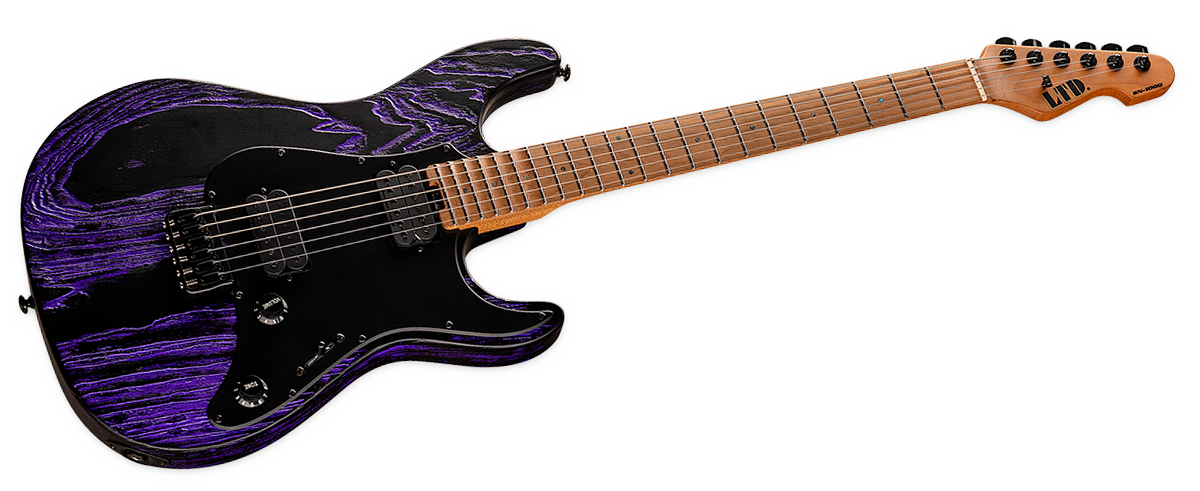 ESP LTD SN-1000HT Purple Blast Electric Guitar