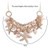 Sweet Nature Necklace With Sea Shells F369-8529184016