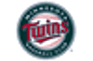 Minnesota Twins Circle Emblem Sleeve Patch