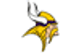 Minnesota Vikings