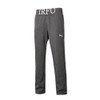 Puma Ireland Supporter Track Pants [grey]