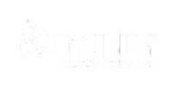 Taurus International Inc.