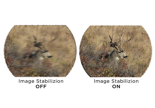 Experience ultra-stable long-range viewing with the SIG SAUER ZULU6 HDX 20x42 binoculars featuring Optical Image Stabilization, HDX glass, and IPX7 waterproof protection.