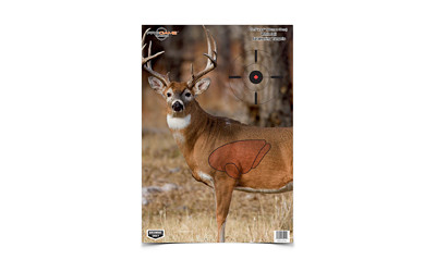  Birchwood Casey PREGAME DEER TARGET 3-16.5X24  BC35401
  Birchwood Casey is the name you know and trust when it comes to targets. They offer high quality, affordable products made for serious shooters and beginners alike. Whether you're heading t...