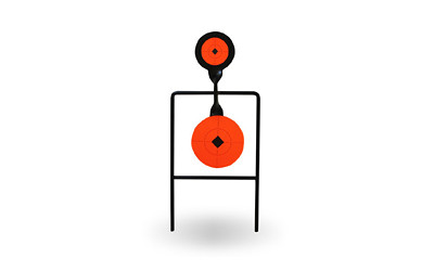  Birchwood Casey WRLD OF TGTS SPR DBL MG SPN TGT  BC46344
  Birchwood Casey is the name you know and trust when it comes to targets. They offer high quality, affordable products made for serious shooters and beginners alike. Whether you're heading...