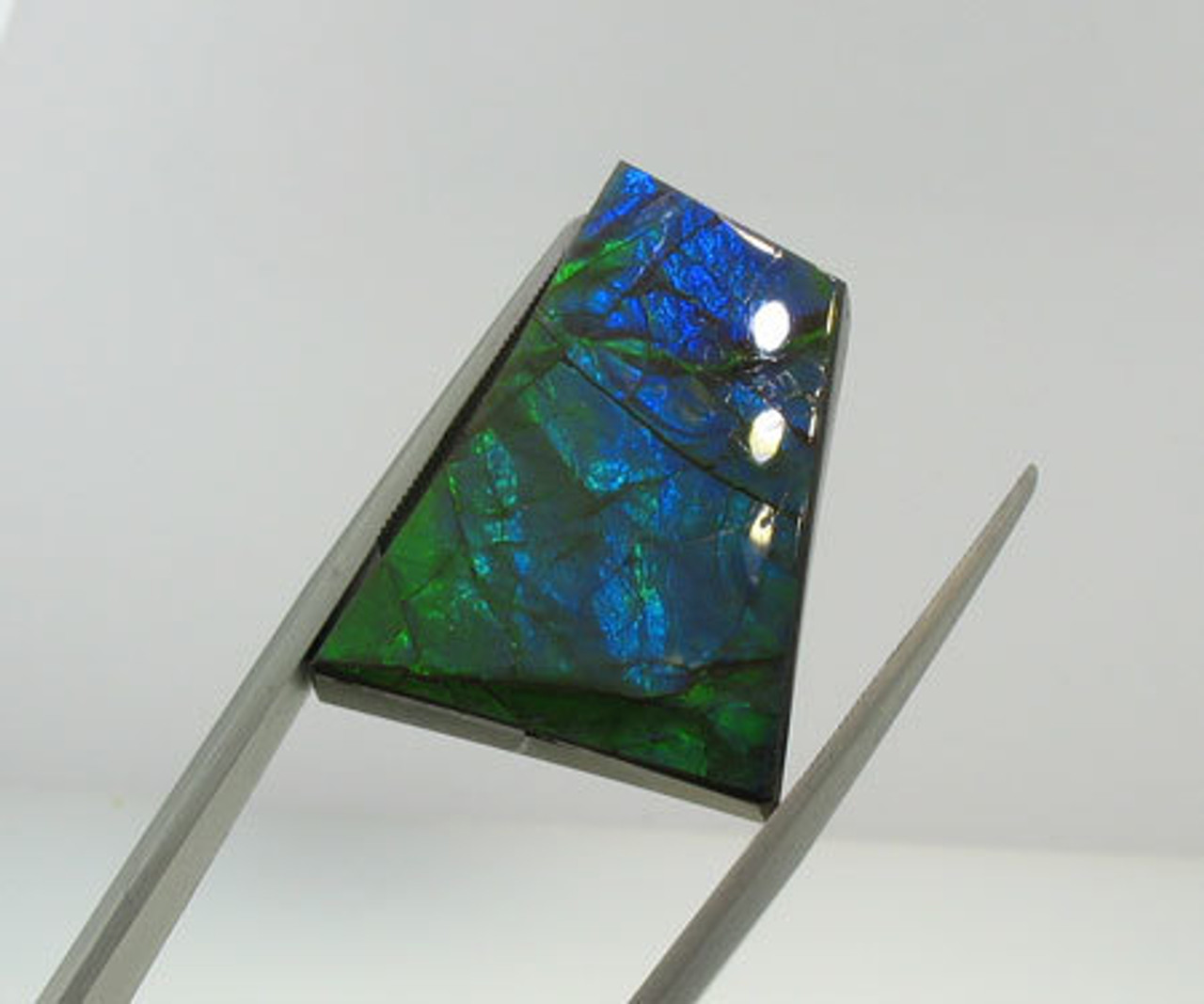 Ammolite