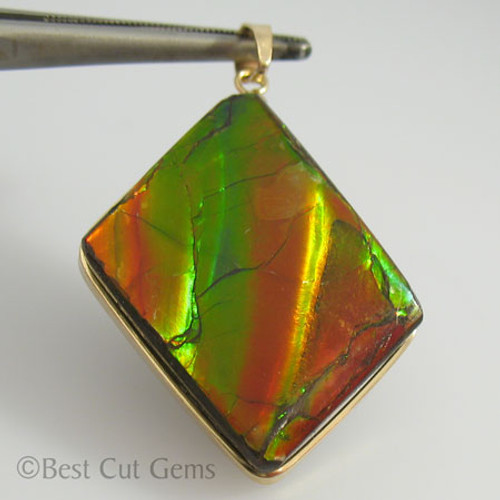 Genuine Natural Ammolite Pendant #5032