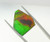 Genuine Natural Ammolite #5004