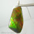 Genuine Natural Ammolite Necklace #5033