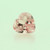 Pink Morganite #G-2496