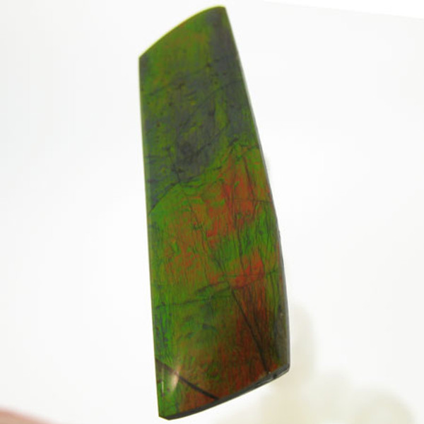 Freeform Ammolite #IT-1050