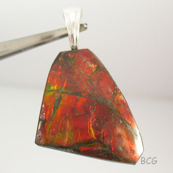 Genuine Natural Ammolite Pendant #1649