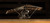 Hang Glider