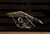 Hang Glider