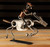 Horse Rider