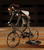 Cyclist Woman