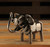 Elephant Big