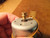 Hitachi 11v Cassette Tape Deck Motor 5576441