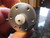 Matsushita 12v Cassette Tape Deck Motor MMI-5A2R