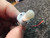 Matsushita 5v DC Worm Drive Micro Motor HQN-20B5WB 4024433