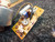 Sankyo BCR9R02 DC Motor with drive board 21013-A