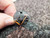 Matsushita PNN-7ECO7B Geared Worm Drive DC Loading Micro Motor 7035521 5579051 for Hitachi VMC33 VMC528 etc.