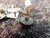 Matsushita PNN-7ECO7B Geared Worm Drive DC Loading Micro Motor 7035521 5579051 for Hitachi VMC33 VMC528 etc.