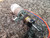 Tokyo Micro Camera Zoom DC Micro Motor with built in gearbox P0002 2, 6960617 for Hitachi VME16E etc.