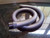 Hitachi Vacuum Cleaner Hose. Fits all Models. CV-4700 942, CV-100 915, CV-99 918, CV-2500 979 for CV100, CV950L, CV950, CV-950, CV2500, CV2700, CV2800, CVS950 etc. etc.