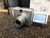 Canon Power Shot A95 5 mega pixel Digital Camera