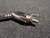 Hitachi 5 Section VHF Telescopic Antenna 0043209 for all Hitachi Portable CRT TVs & CX-100, CX100