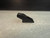 Audio Technica Stereo Diamond Stylus for Record Player Phono Turntable