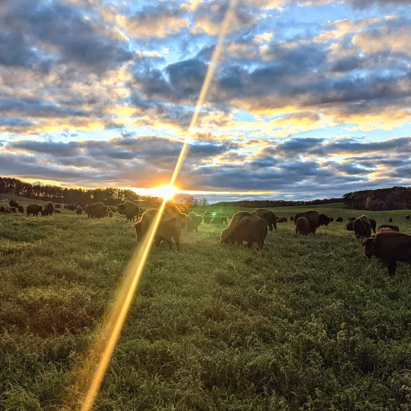 Reflecting on Our Story with DeliveryRank