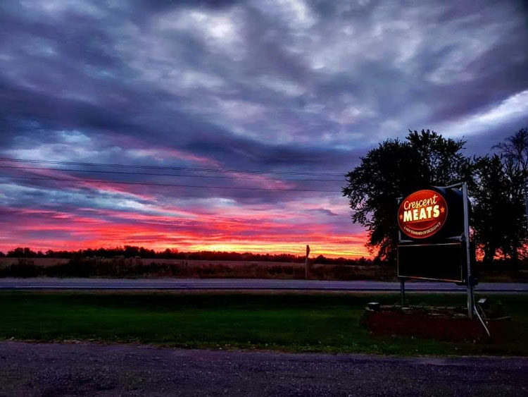 Daylight to dark because thats what they do. 