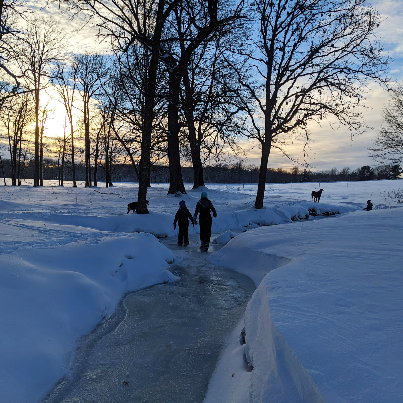 Making the most of the short days...