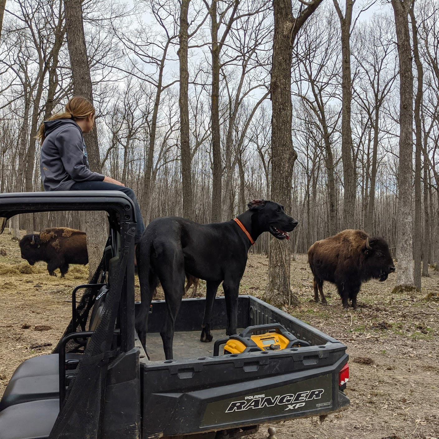 The transition season...