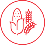 Grain Icon