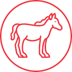 Horse Feed Icon