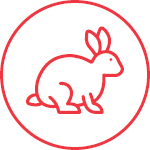 Rabbit Feed Icon