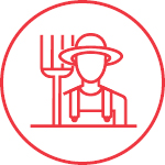 Poultry Processing Icon