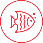 Fish Icon