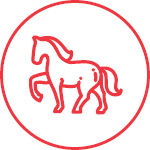 Horse Icon