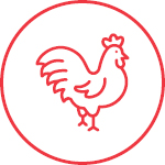 Poultry Supplies Icon