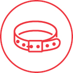 Collars & Leashes Icon