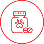 Dog Flea Tick and Wormers Icon