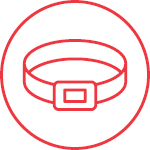 Men's Belts and Buckles Icon