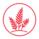 Ferns Icon